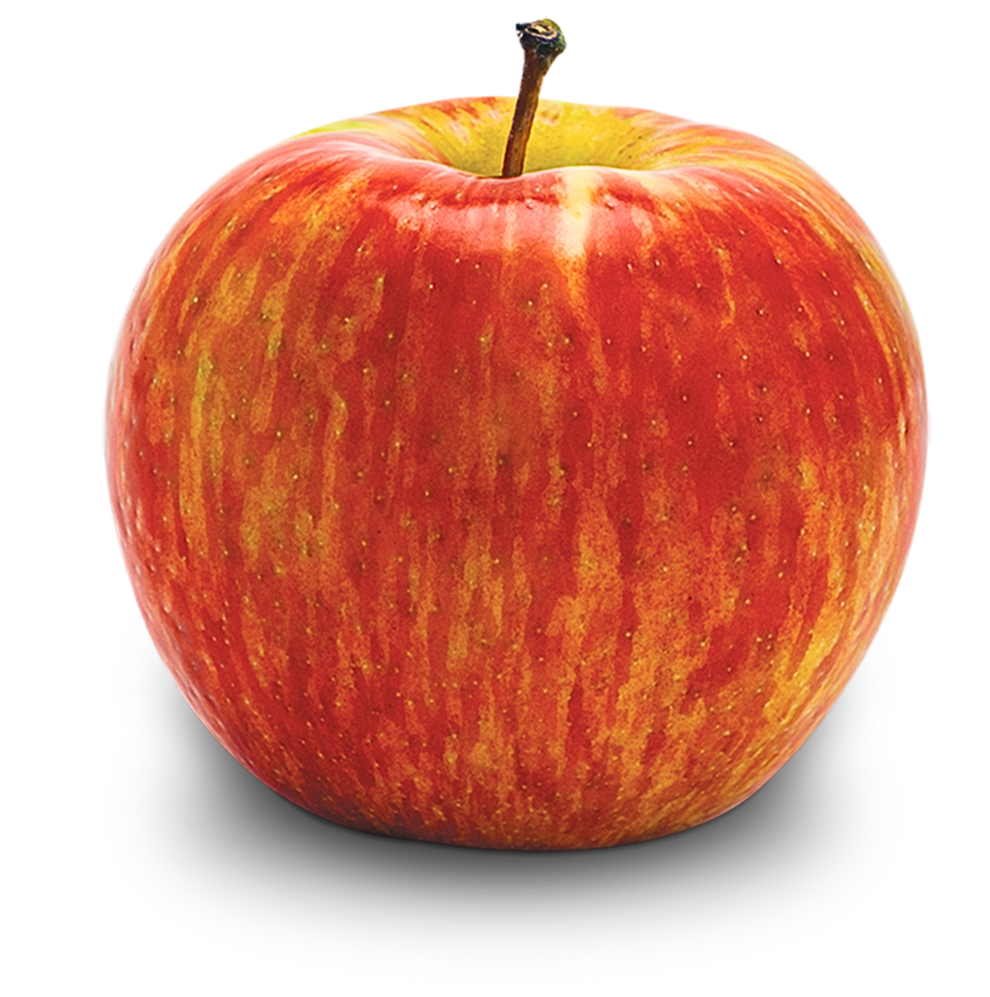 Honeycrisp